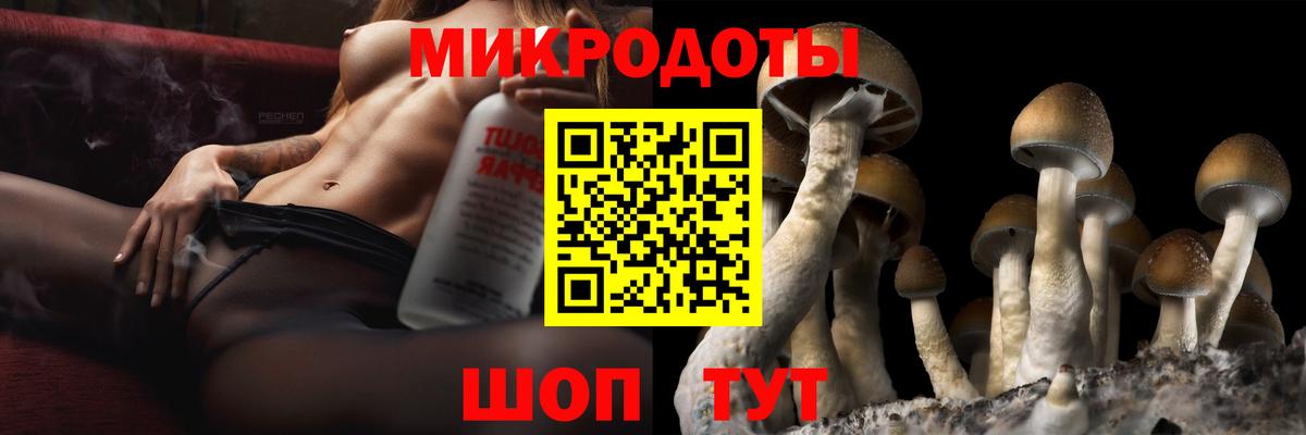 Псилоцибиновые грибы Cubensis Азнакаево